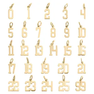 18K Gold PVD Stainless Steel Small Number Charm
