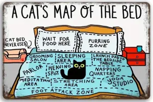 A Cats Map of the Bed Graphic Print and Frame Wall Art Home Decor Fantasy Print Digital download Instant Access Create Your Own Art Print Can Be Edited