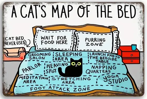A Cats Map of the Bed Graphic Print and Frame Wall Art Home Decor Fantasy Print Digital download Instant Access Create Your Own Art Print Can Be Edited