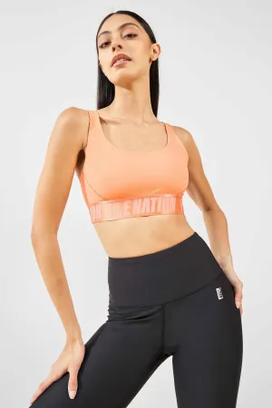 Backcheck Sports Bra