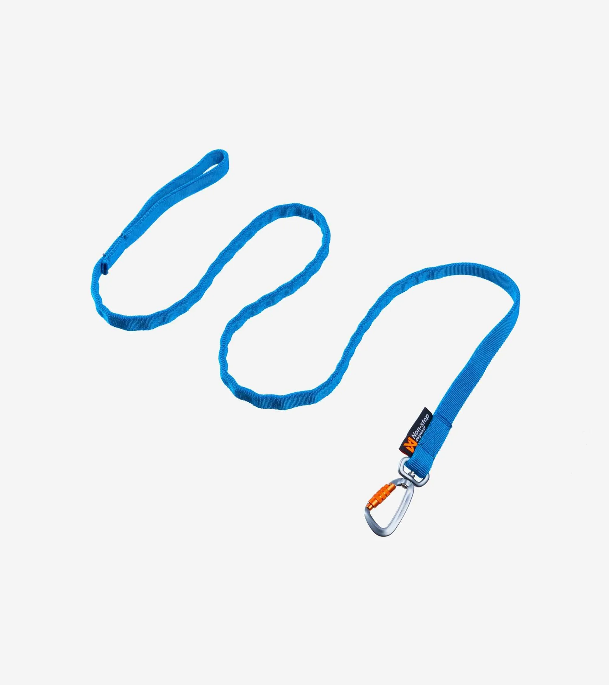 Bungee Leash