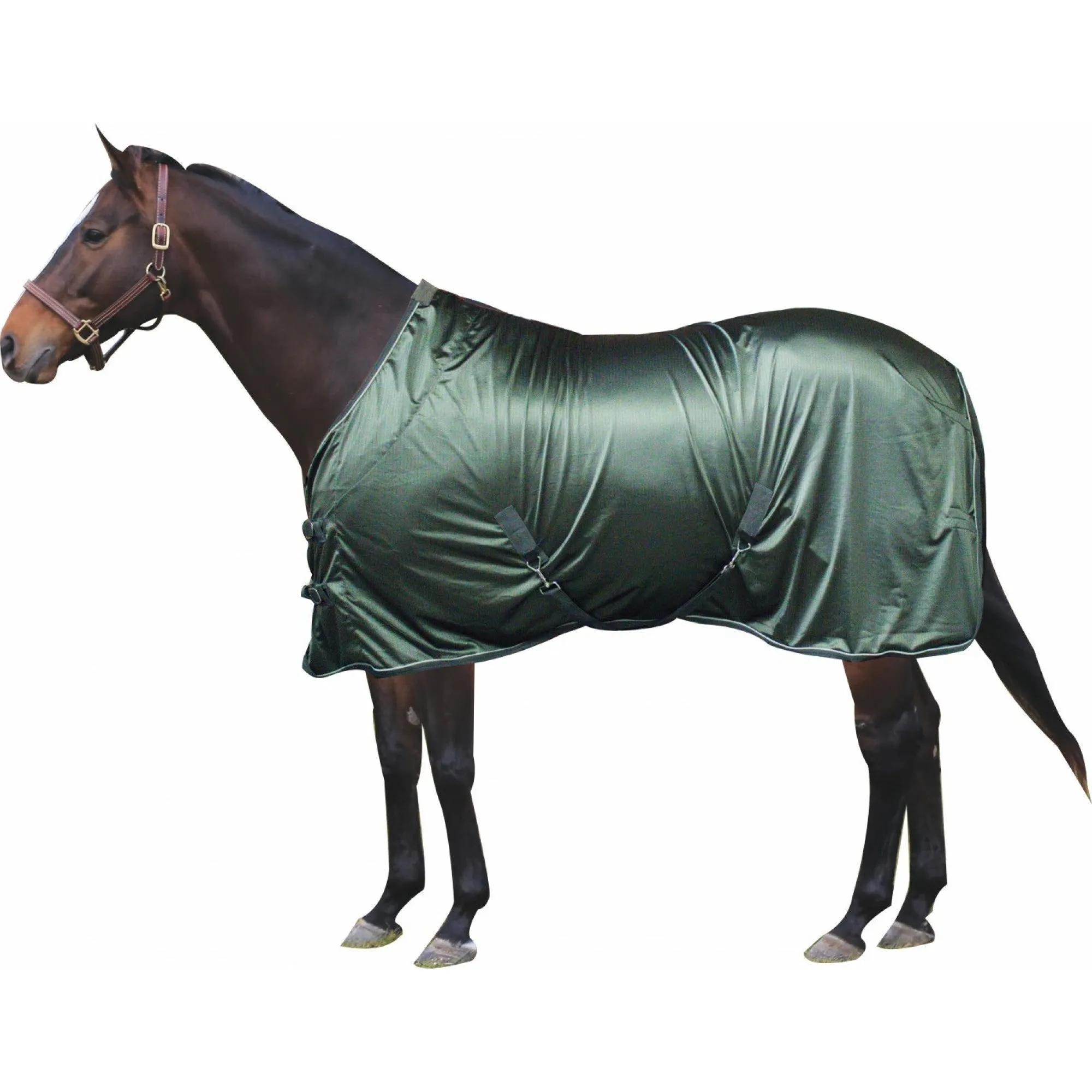 Century Athletic Stable Sheet