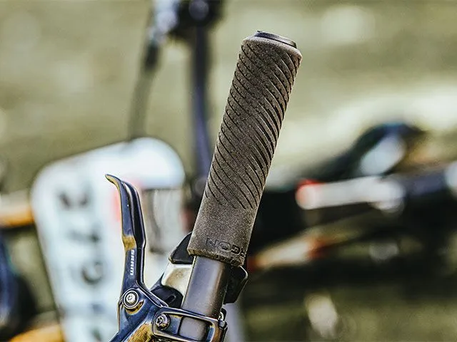 Ergon GXR Grips