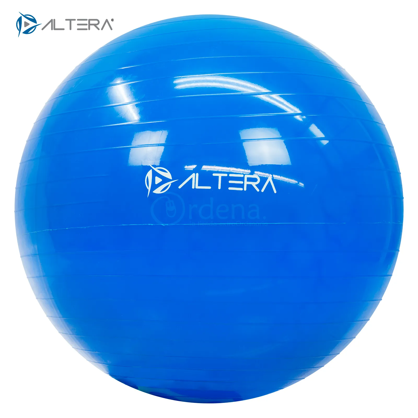 Pelota Entrenamiento Pilates Yoga Fitness Con Bomba 65 Cm