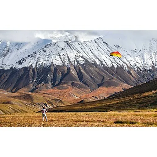 Prism Kite Technology - Tantrum 250 Dual-line Parafoil Kite with Control Bar - FBH